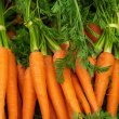 “Unlocking the Nutritional Powerhouse: Health Benefits of Eating Carrots”