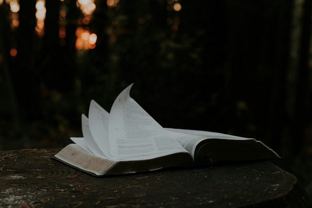 Why Wisdom Trumps Degrees in the Pursuit of Wealth