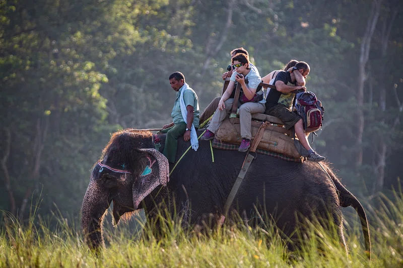 How to Save Money for Family Vacation