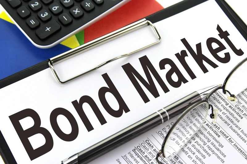 Understanding the Differences Between Stocks and Bonds